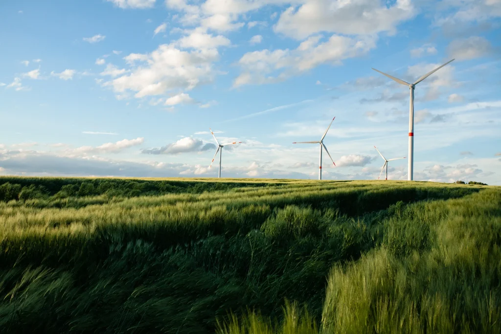 Розробка ISO 14001