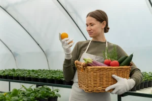 Сертифікація органічної продукції в Україні: стандарти, процедура та перспективи для аграрного бізнесу